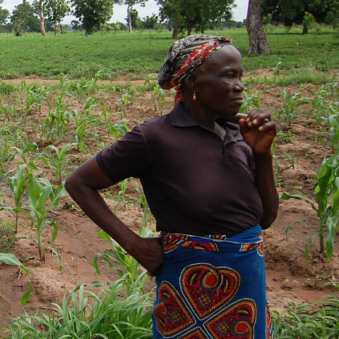 _CFEW's tweet photo. Today, is #IWD2018 A special tribute to #RuralWomen around the globe. Majority are involved in subsistent #Agriculture. These indefatigable women till the land &plant seeds to feed nations. They ensure #FodSecurity for their homes &communities.
#PressforProgress
#WomensDay2018 https://t.co/FL3pKtwh71