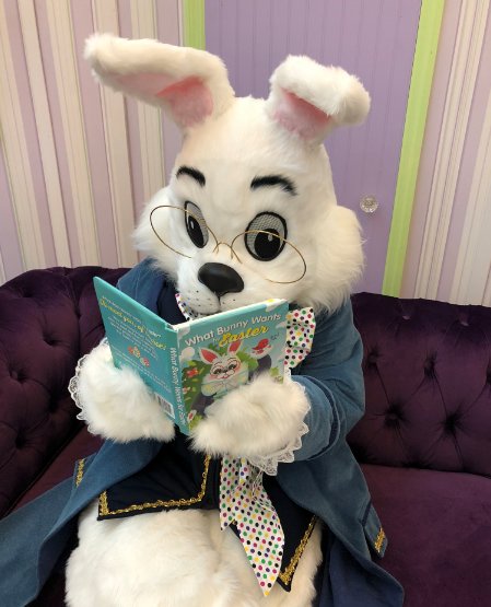 myvalleyview's tweet photo. This weekend the Easter Bunny is hopping his way down to our mall! Check out our website for more information about Bunny Photos and book your visit today!  💮🐰💮 #EasterBunny https://t.co/Lo0vhScbwN