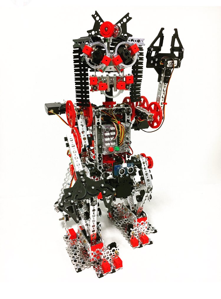 pitscoed's tweet photo. World, meet Rubee❣️
She joins her fellow bots, #MrRobot &amp; #FrankeeBot as ambassadors for robotics education. 
We’re so excited to have her represent the strong, smart, &amp; bold girls and women in STEM.
#internationalwomensday 
#girlsinSTEM #STEMforall #rubeebot #roboticseducation https://t.co/ao3VhG2ko6
