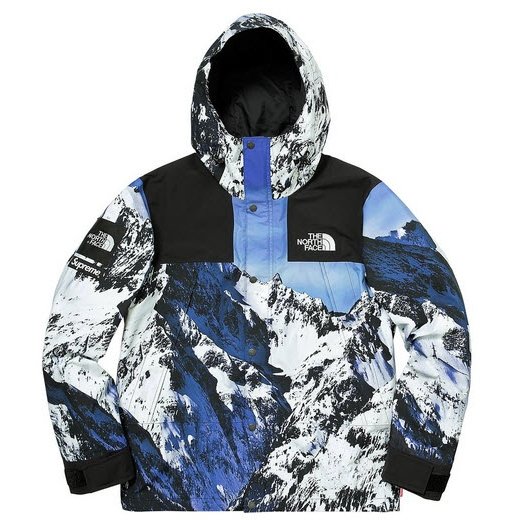 supreme north face snow mountain