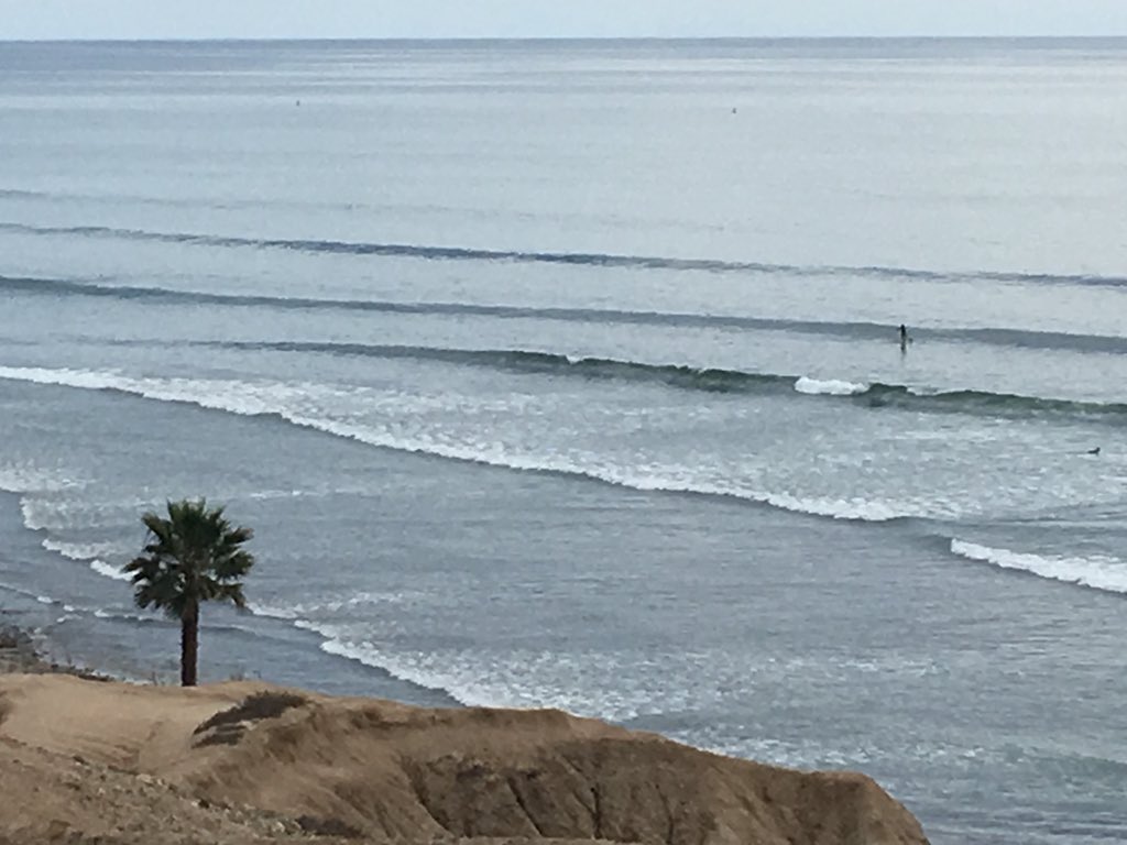 Bobbi Lee tweet media