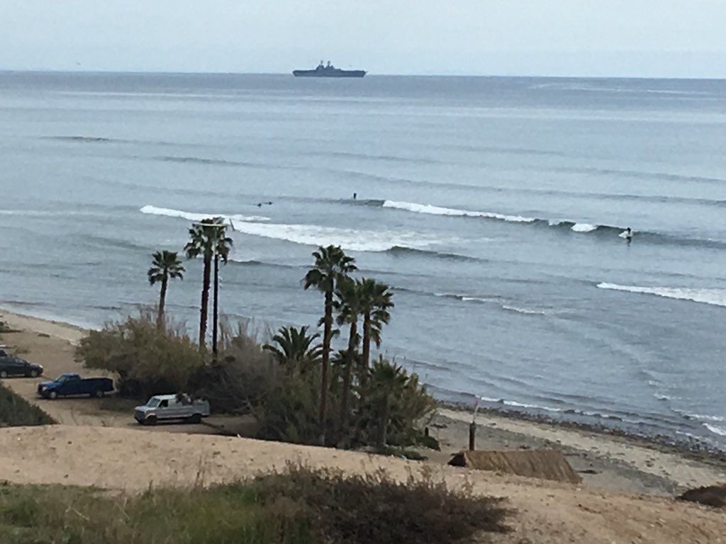 Bobbi Lee tweet media