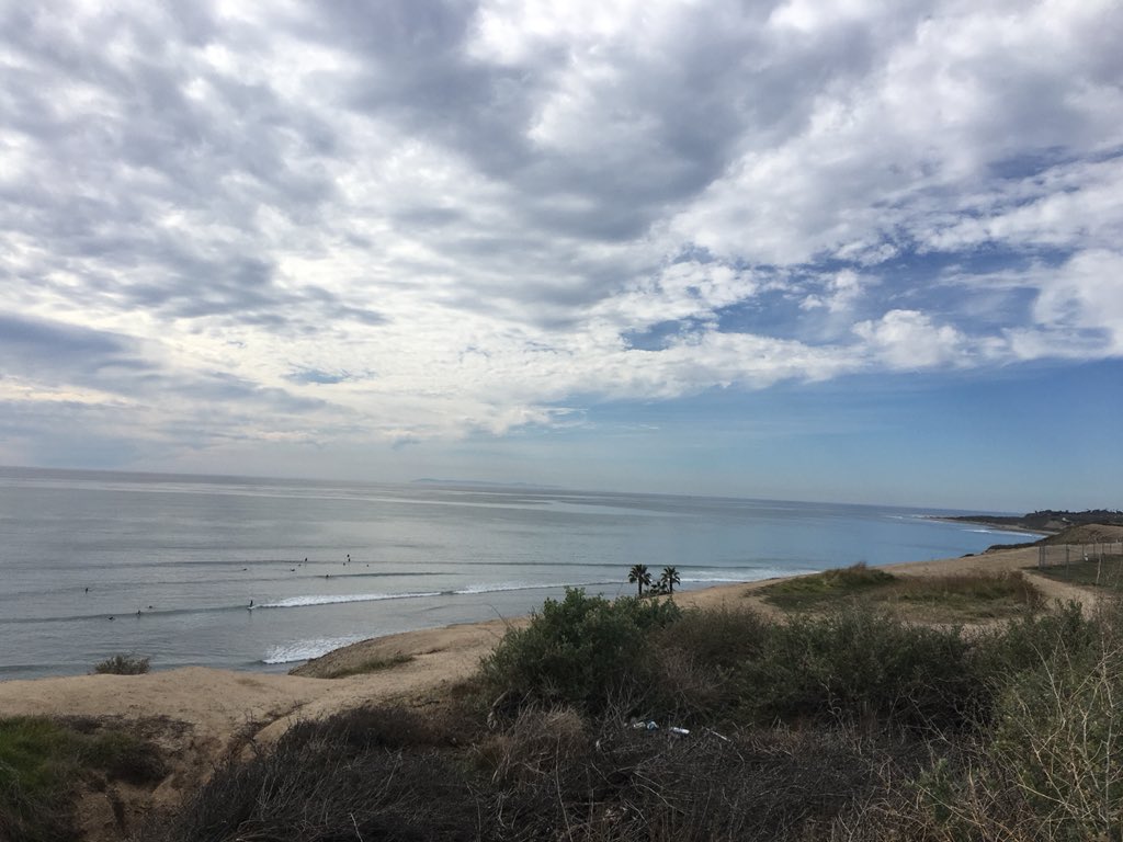 Bobbi Lee tweet media