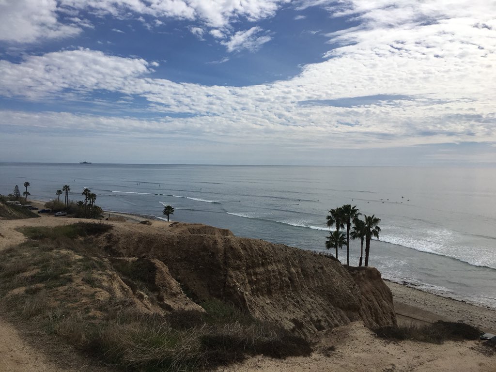 Bobbi Lee tweet media