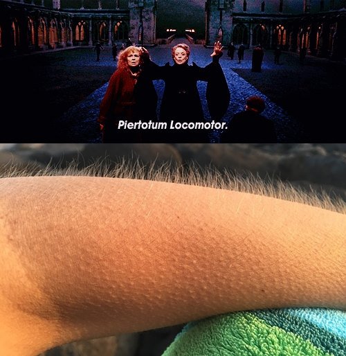 Esta escena lo es todo.