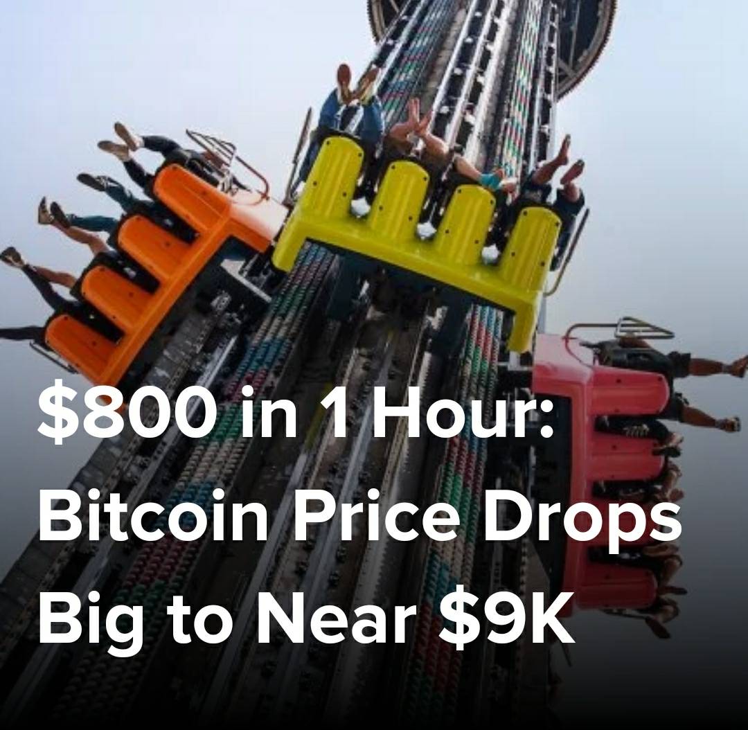 SovaBlockChain's tweet image. 