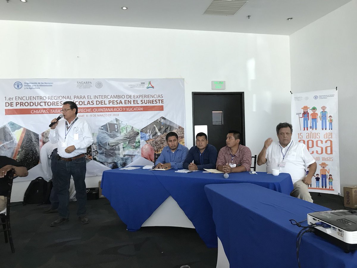 DescaRural's tweet photo. “La certificación orgánica es el pasaporte para que nuestra miel pueda viajar por el mundo, por eso nuestra ventaja es ser orgánico” Simón Pedro Pérez productor de miel de #Chiapas en el panel de comercialización @julio_rosette @paulinaescobedo @FAOMexico @SAGARPA_mx https://t.co/gw9q6mzPgl