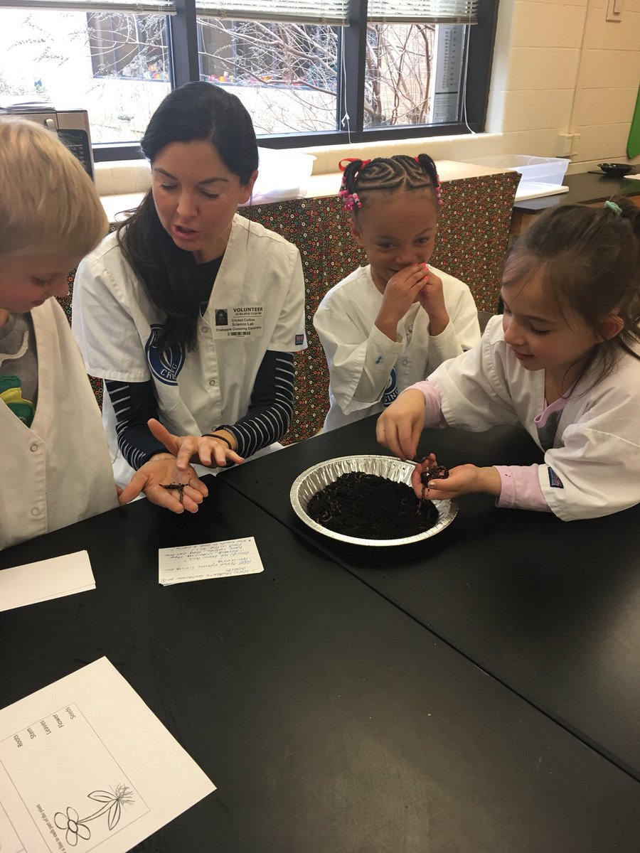 c_ljayne's tweet photo. Thankful for these awesome parent volunteers and @cces_sciencelab for this incredible living vs non living lab! #suCCEss https://t.co/OoMqS17jBj