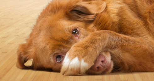 That feel when you realize you’ve misspelled the name of the person you’re asking about a job opportunity. In an email. Yesterday.