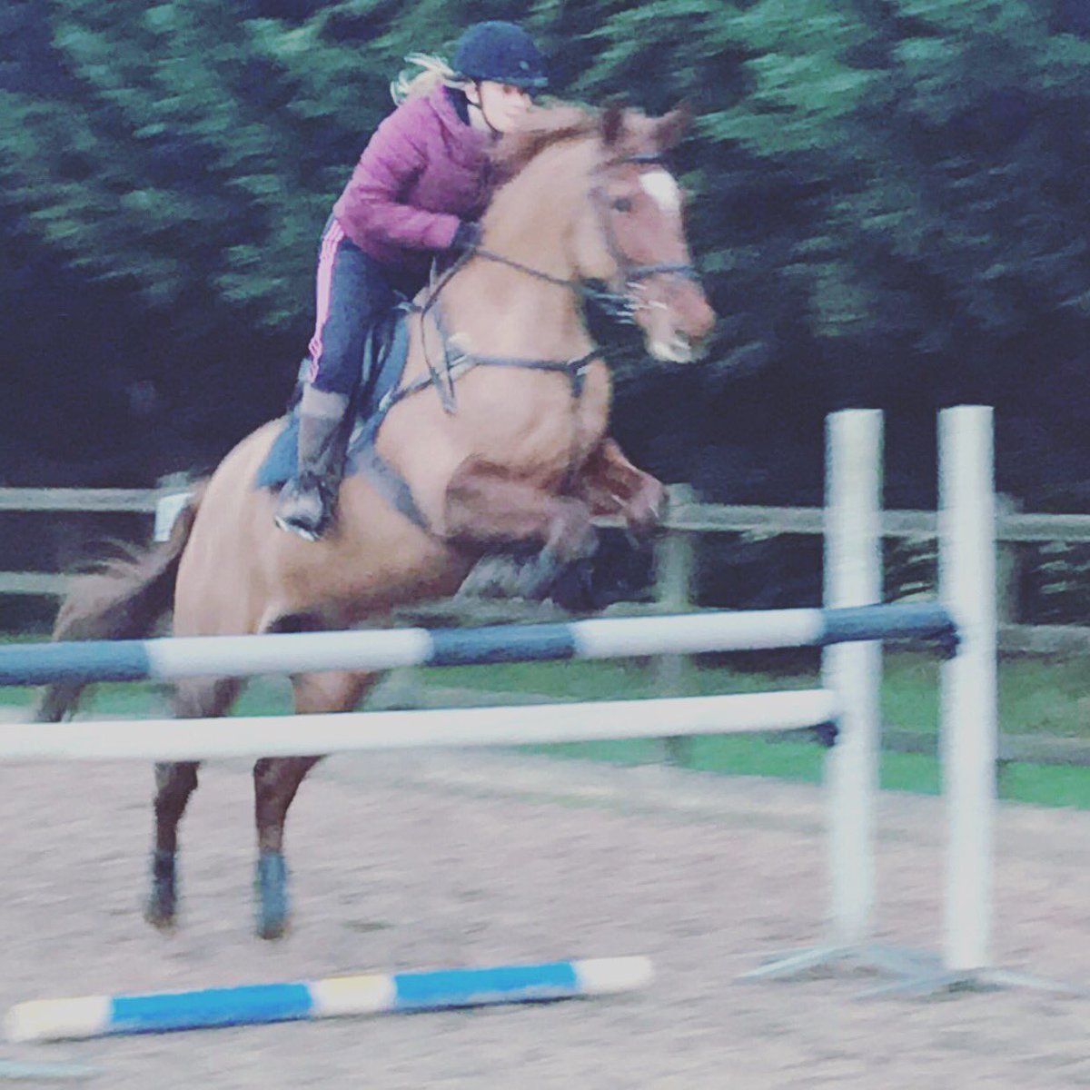bennetteventing's tweet photo. Evening playtime #overdue #loveher #PracticeWhatYouPreach https://t.co/8nD9od3qCh