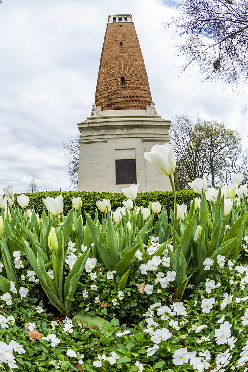 YOU can help us bring another National Championship to #UA! Join the @UACCIS  Bateman Team in taking the pledge + raise awareness for their UAre.WithPurpose campaign! ow.ly/z2TR30iMYKV