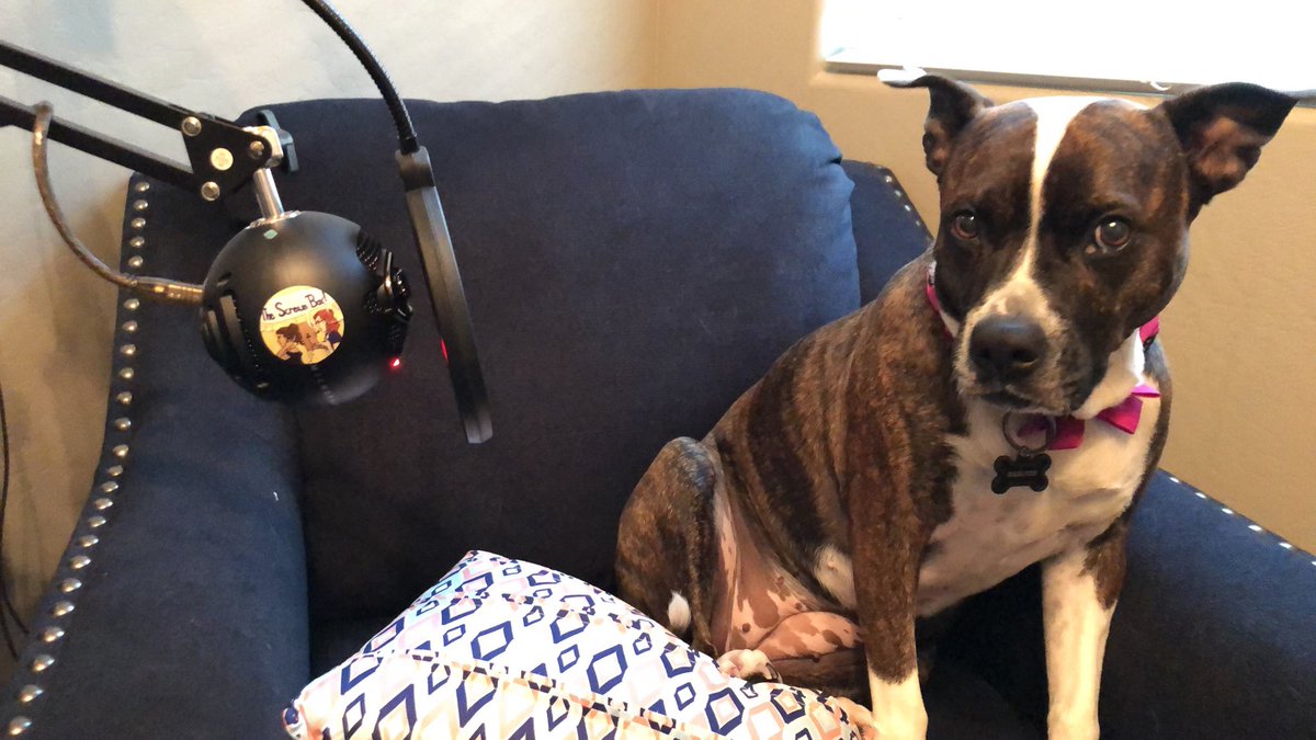 TheScreamBox's tweet image. Folks please welcome the new host of The Scream Box Podcast, Mailynn. #dogcasting