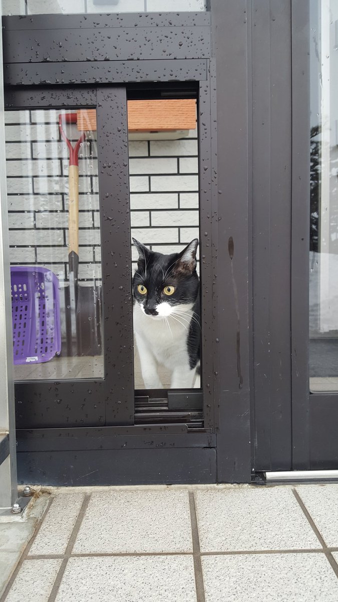 31074355aa's tweet photo. 3/9(金)おはようございます。
札幌は雨,雪、最高気温8℃予報。
今日は記念切手記念日,感謝の日,3.9デイ(ありがとうを届ける日),雑穀の日,記念切手記念日,関門国道トンネル開通記念日,etc…。
皆様にとって良い一日となります様に♪
↓8`00  2℃　雨だにゃ🙀🙀 https://t.co/RV51fSE5nb