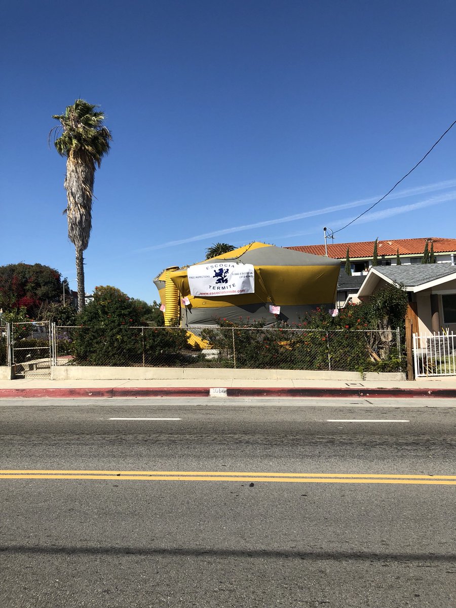 EscociaTermite's tweet photo. Another Quality fumigation for Escocia Termite Inc. Call 1 866 ESCOCIA today for a free fumigation estimate. https://t.co/5byZO8OwPz