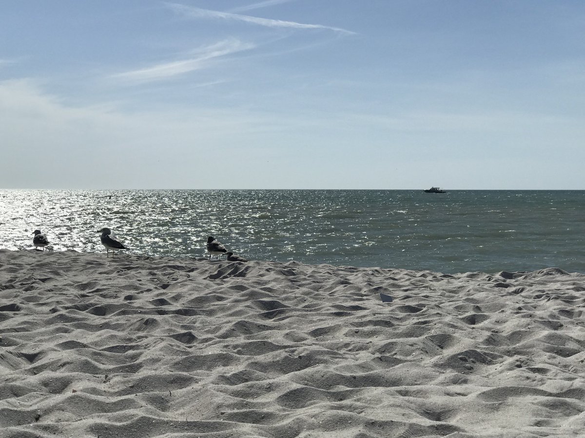 chrissybug24's tweet photo. A4: so... the picture on the right has me yearning for some down-time to be reflective and innovative 

How do we build in time to be innovative in our busy schedules?

 #HCESCedchat https://t.co/92FiCsue8F