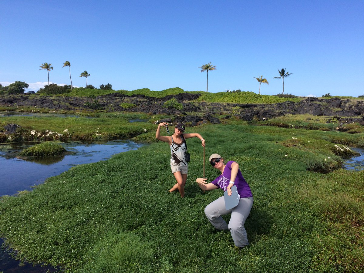 KukuluAeo's tweet photo. Aloha to the woman I have met along my journey. @annie_e_miller @HiBiologist @HiWildlife @EcologyForAll @CnsrvHI @sophiacooke I have learned and been inspired by you, and it's not very hard to see why.
#InternationalWomensDay #Biobombshell #WomenInSTEM #WomenInScience #Manawahine https://t.co/bPSJvfFBYc