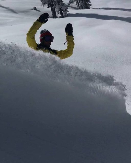 TuckerNorred's tweet photo. There is such a thing as friends on a powder day! Here’s @timshreddy getting shots during the storm riding with his buddy @tuckermandrews! #powderpals #borealmagic https://t.co/k9vZRMU9M4 https://t.co/F7NdcKg7vu