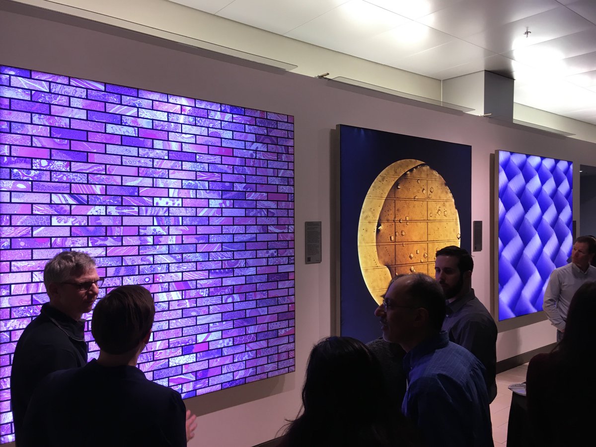 MITBiology's tweet photo. We’re celebrating the beauty of biology at the 2018 #KIImages Awards ceremony! Shout out to @kochinstitute for the lovely reception. https://t.co/kvG9tBaMxl
