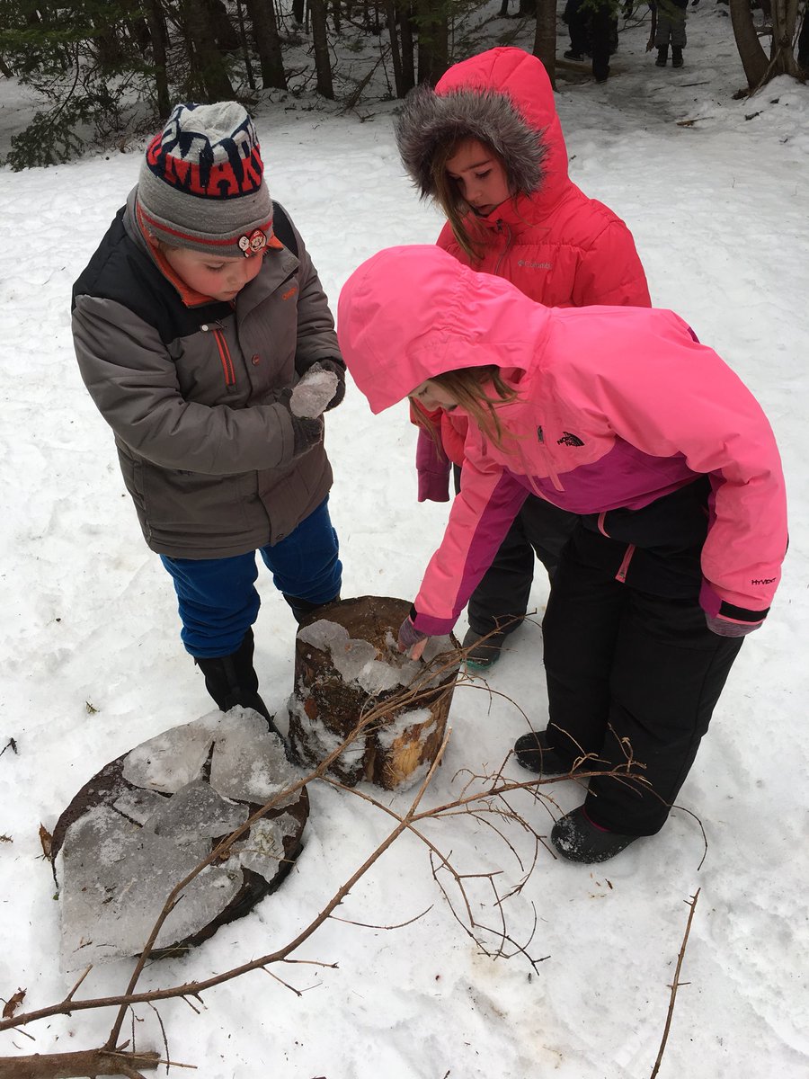 AMcGKinder's tweet photo. Outside play! An ice store, trying to use friction to make a spark, a beautiful habitat in ice and a speech balloon made with a twig! #imaginationplus #naturenurturescreativethinking @NLESDCA @SFOAschool https://t.co/jQkQDgmPv1