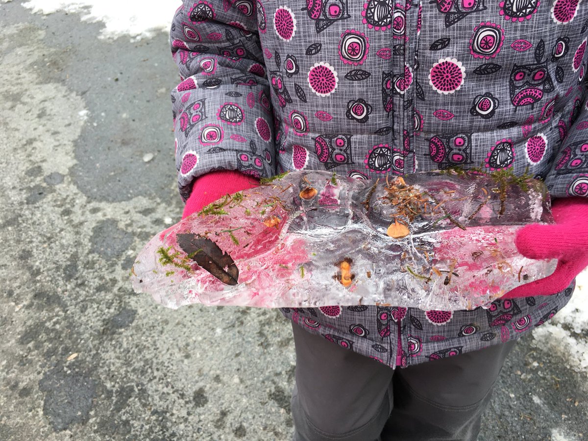 AMcGKinder's tweet photo. Outside play! An ice store, trying to use friction to make a spark, a beautiful habitat in ice and a speech balloon made with a twig! #imaginationplus #naturenurturescreativethinking @NLESDCA @SFOAschool https://t.co/jQkQDgmPv1