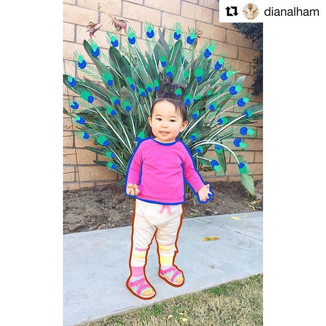 FeelingCuteEtsy's tweet photo. I had to turn her in a peacock when I saw her standing in front of one of our beautiful trees in our backyard the other day. Thanks to my favorite creative 🎨: @procreate! https://t.co/kCuKHgPnkf https://t.co/0WwdETeeqZ