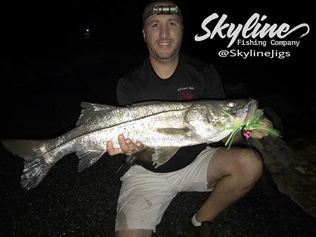 Mirrorlure7m's tweet photo. Throwback Thursday.. Flare Hawks, Swim Baits, Live Bait it is all about the presentation. This snook fell for the @skylinejigs Dragonfly 1.25oz Flare hawk. #skylinejigs #snook #bass #redfish #tarpon #flairhawk #flairhawks #flarehawk #flarehawks #bucktail… https://t.co/9XpC1LIO1P https://t.co/OAS4047w6i