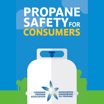 download Managing Cultural Diversity