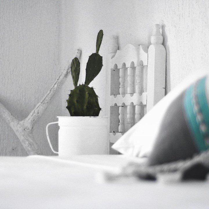 TripsInRentals's tweet image. The ocean #views from this #IslaMujeres rental property Cannot. Be. Beat. 😍 For more details on Casa Alkima → tripsin.com/mexico/isla-mu… @TripsInMexico #Vacation #Mexico #TripsIn #TripsInMexico