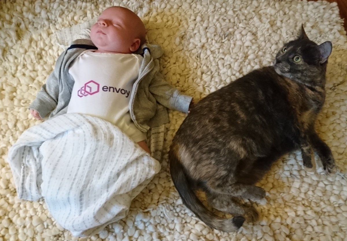 Matt Klein tweet media