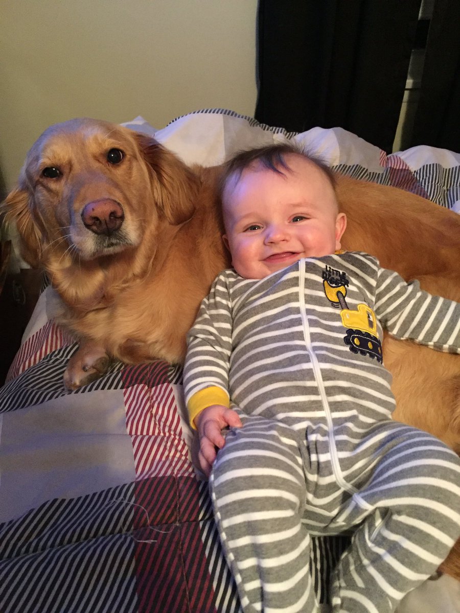 maceyw22's tweet photo. Wes is away on storm and these two are really missing him 💗 https://t.co/SDAmCIHHGP