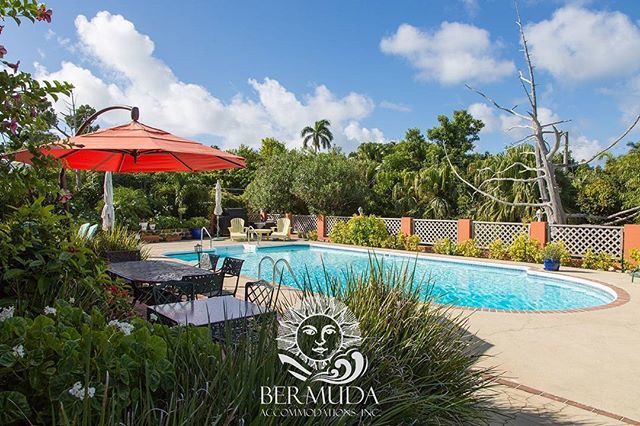 bermudarentals's tweet photo. Almost at the weekend! Why not spend it poolside in Bermuda?
.
#lovetotravel #holiday #beachvacation #beachwedding #bedandbreakfast #traveltips #wheretonext #bermudatriangle #placestogo #Bermuda #destinationwedding #holidaytime #homeawayfromhome #homeswe… https://t.co/Q6SxL8XJzH https://t.co/8Te5HzvbCm