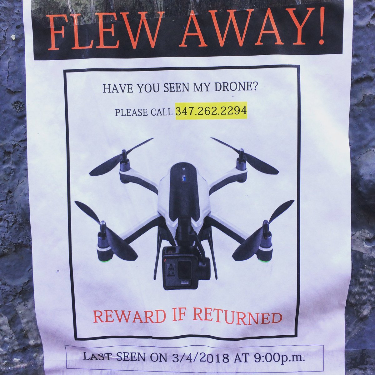 The future of Lost Pet posters 😂