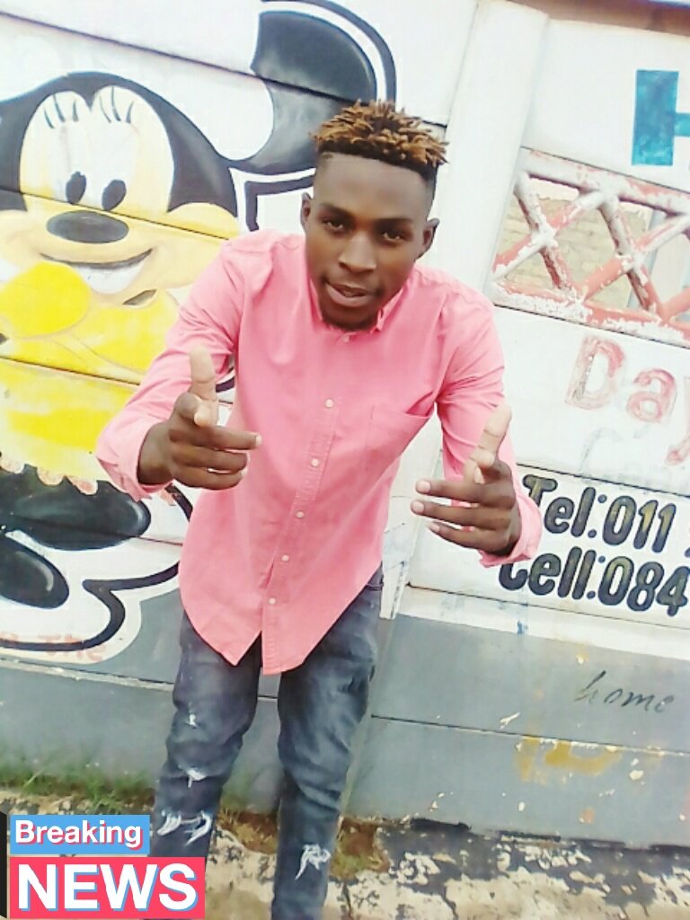 treeplow tweet picture