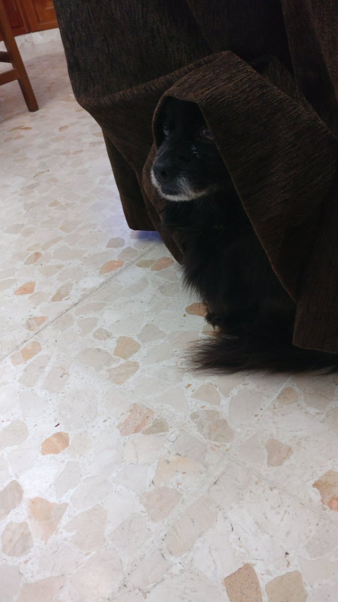 DroidenZ's tweet photo. Los caminos de la fuerza yo te enseñaré, joven padawan. https://t.co/WQu3inV9Im