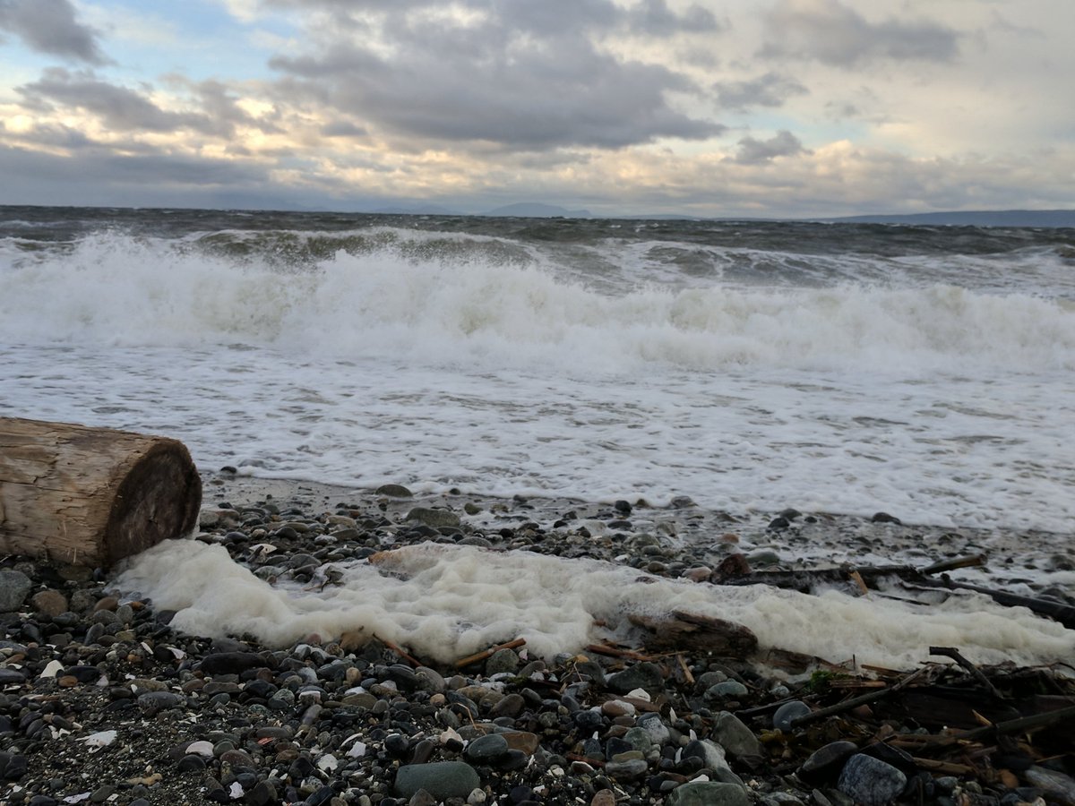 MuketyMuk's tweet image. Stormy sunrise at #LighthousePark #PointRoberts .  Southerly gale force pushy and blustery winds.  Waves 1.5 m from S . Feels bone chilling cold but temp 6C .  In a locally sunny subsidence gap surrounded by building storm clouds #wawx #BCStorm