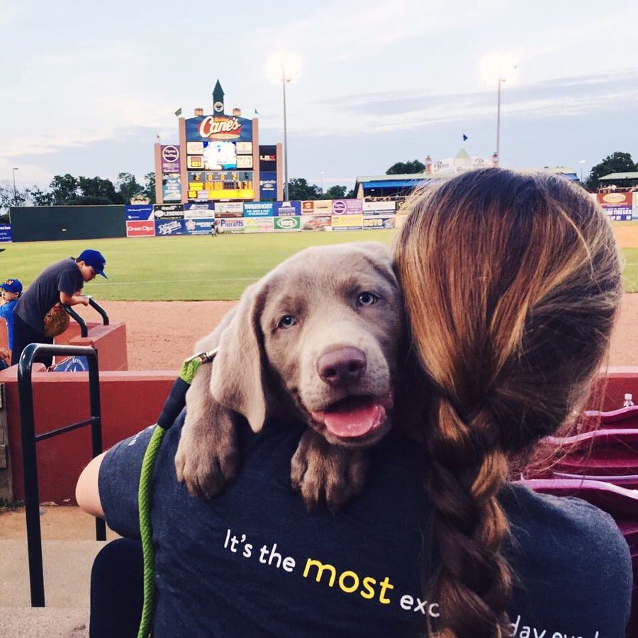 GoLexLegends's tweet photo. Happy #NationalPuppyDay! πΆβΎοΈπΎ Bring your pup to a @GJPepsi #BarkinPark & @KentuckyAle #ThirstyThursday game this season.
π BUY TICKETS: https://t.co/N8Nj97K4Ng
#FamilyTimeisOurGame π¨βπ©βπ§βπ¦π https://t.co/m1zOZMZBjA