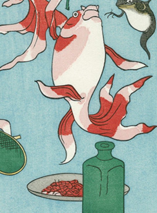 たみ 浮世絵で金魚の食べてる 赤ボウフラ って うちのミドリフグの餌 赤虫 なんだよなぁ