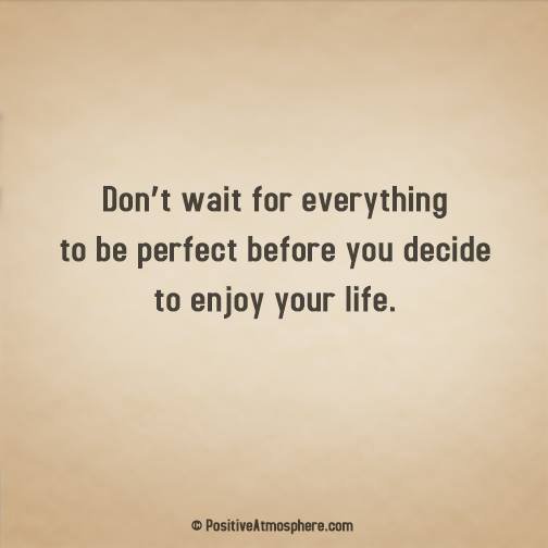 FierceFinds's tweet image. 