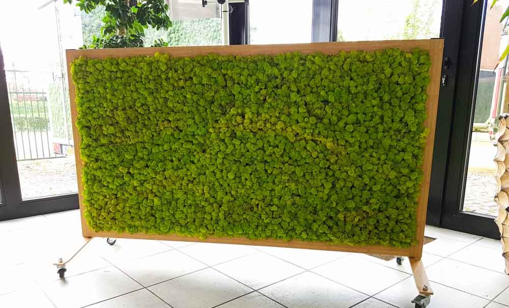 Mosschilderij's tweet photo. Roomdividers van mos  https://t.co/Hxe1IXKQrN #mosschilderijen #moswand https://t.co/6YGUtqCiUd