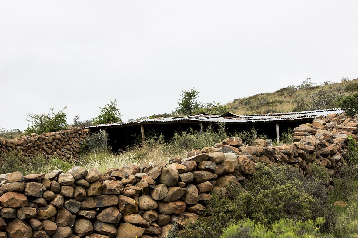 There's a little something for everyone on our Tours! See the Historic Anglo Boer War site where the pivotal "Battle of Paardefontein" was fought <a href="/mountcamdeboo/">Mount Camdeboo</a> #karoofoodtours #karooheartand