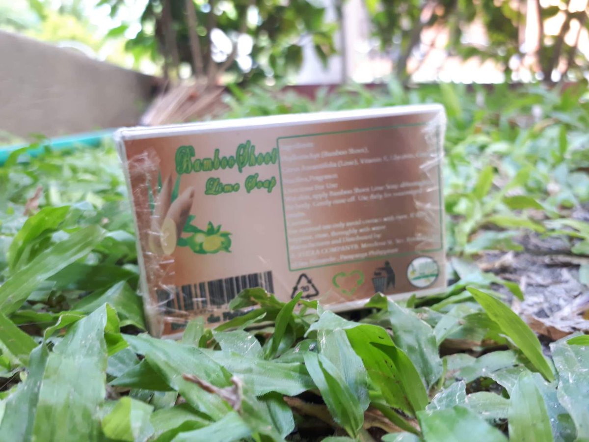 iamhnylyn's tweet photo. All our hardwork, our sacrifices, our sleepless, nights, struggles and downfalls it all paid off. Congrats A-VHERA Company for the successful defense. Road to feasibility!! 💖
#Bambooshootlimesoap #BestManuscript https://t.co/E8totxmVqc