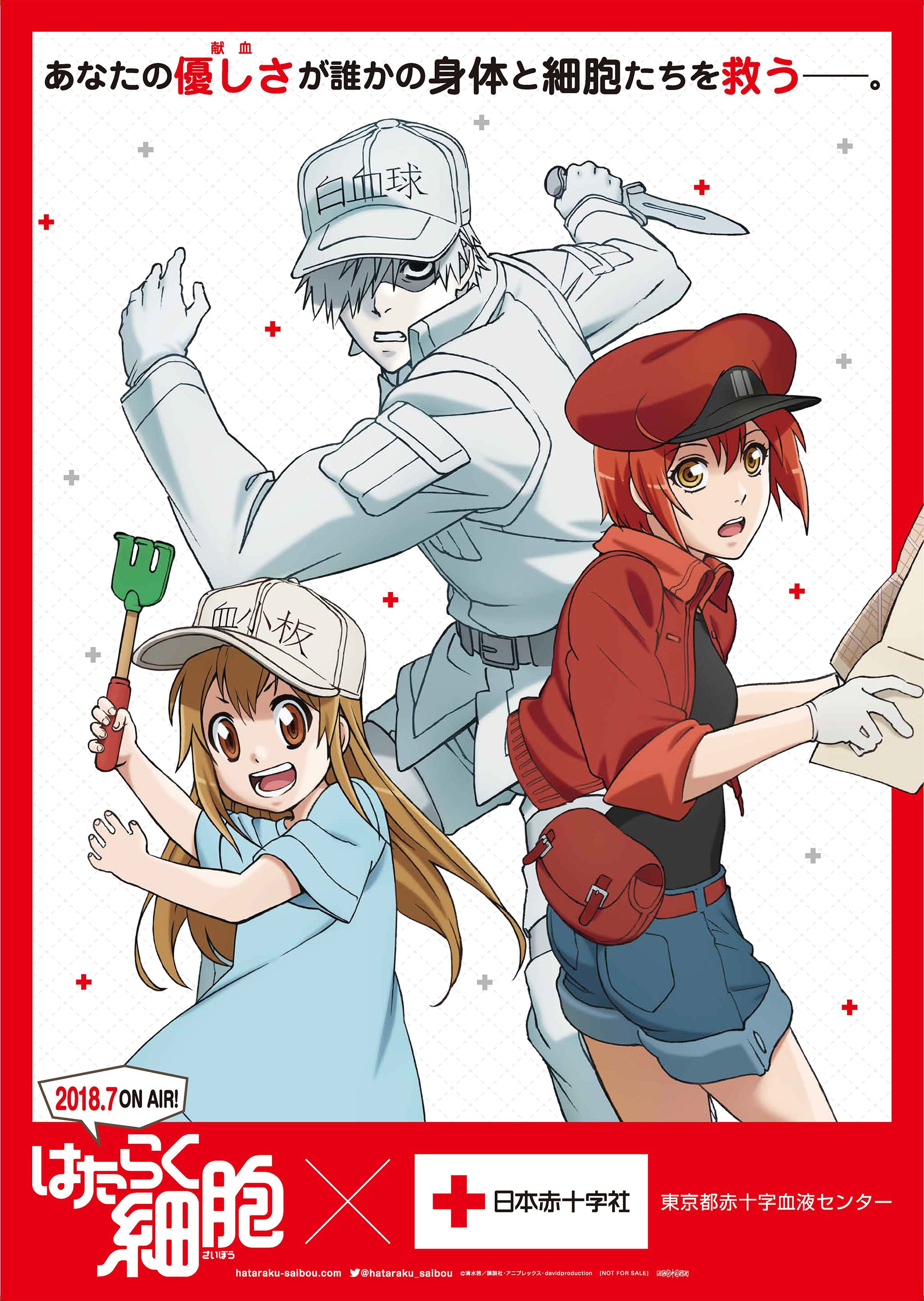 10th Animejapan 2023】献血ブース出展が決定しました！ ♪会場