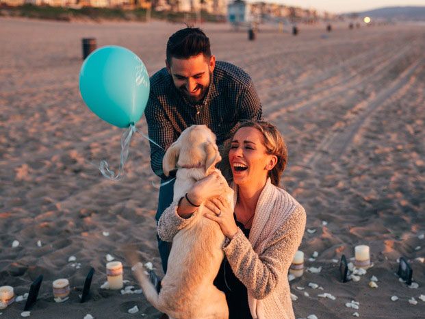 Today is #NationalPuppyDay! 🐶

Here are some of our favourite pooch #proposals.
