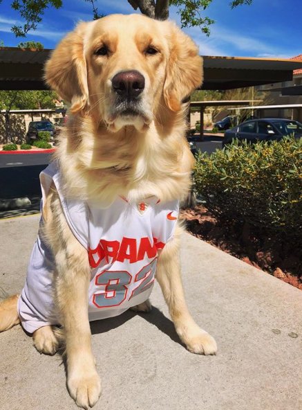 SyracuseU's tweet photo. Rise and shine #OrangeNation, it’s game day! Wear your 🍊 and share your photos using #IBleedOrange!  #CuseGameDay #CuseMode

📷: charliechancevegas https://t.co/HVuG2RGlHa