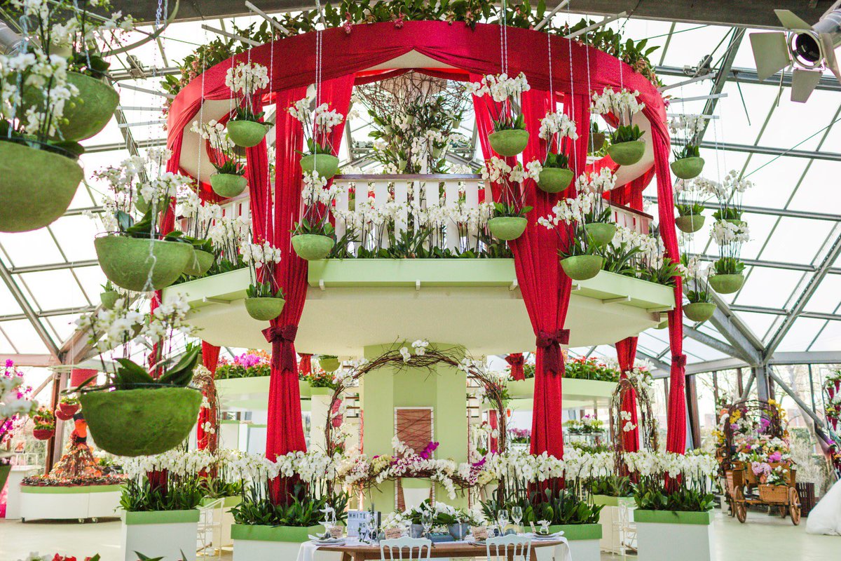 White World® orchideeën van Piet Vijverberg sieren Keukenhof