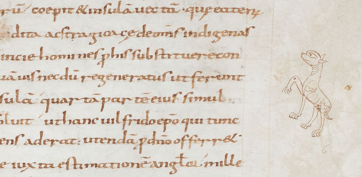 cristianispir's tweet image. Because medieval puppies are the best, especially against caroline minuscule @BLMedieval Harley MS 4978 9thC #NationalPuppyDay bl.uk/manuscripts/Vi…