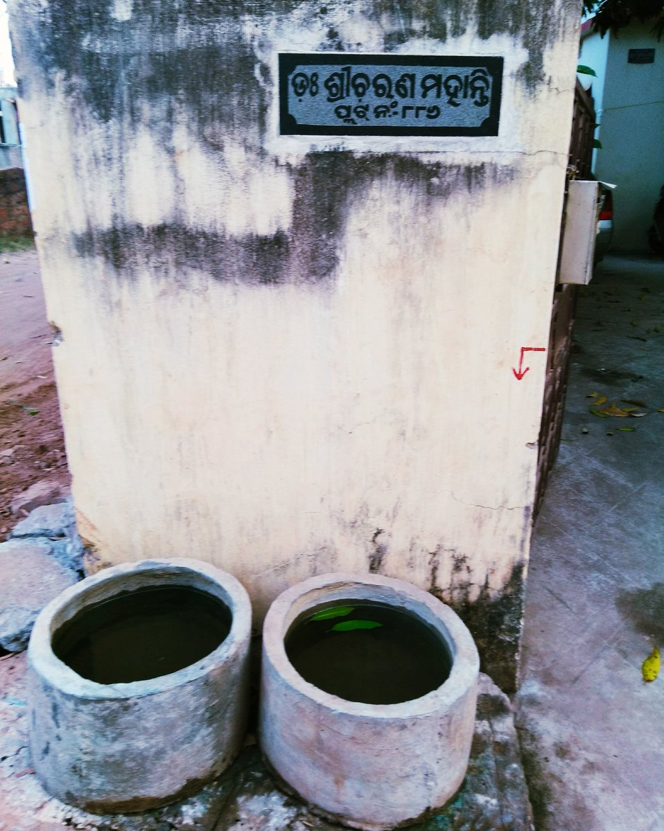 My father has two cement containers for street dogs, cows etc. These days it has to be refilled thrice a day, shows that animals need more water once summer starts. If possible, do the something similar for birds and animals around you. #WorldWaterDay