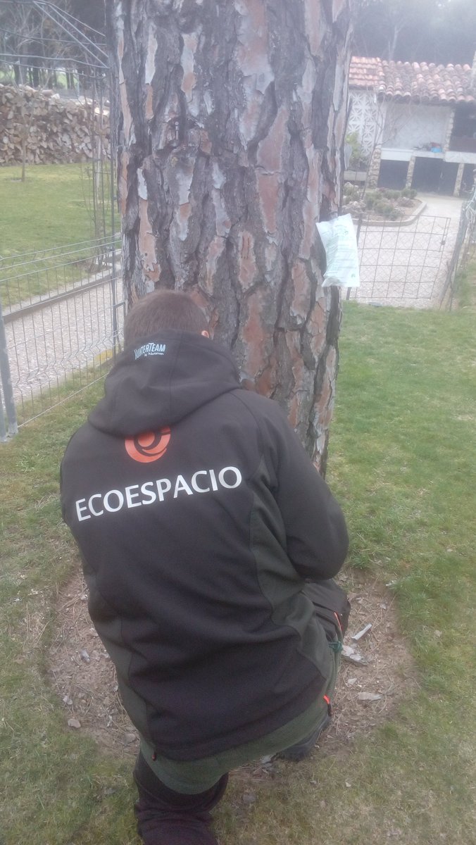 Tratamiento de plagas mediante usos más sostenibles de productos fitosanitarios.
controlplagasvalladolid.es
