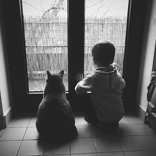 JeHaTweed's tweet photo. Friends 🐱👶🏼 #friendship #pet #meow #cat https://t.co/sqvmJzwY1K https://t.co/Kdmq7rnCuF
