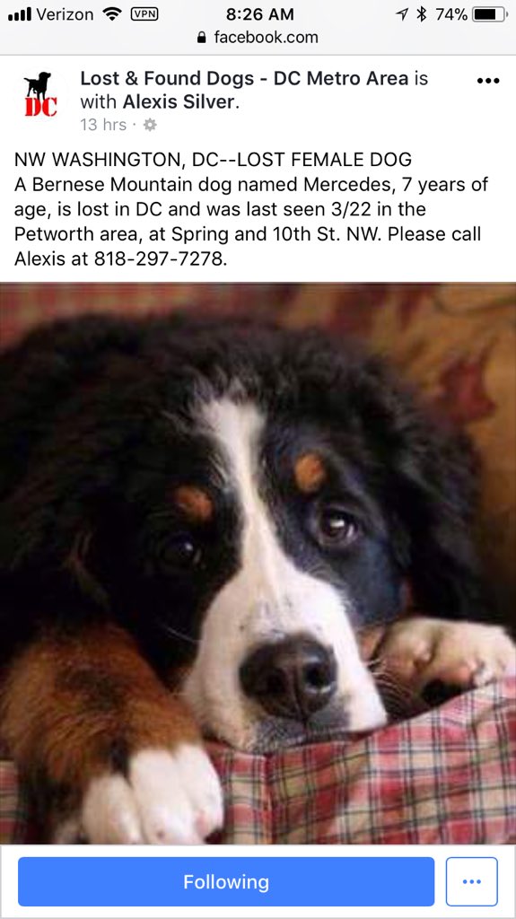 Furniteur tweet media